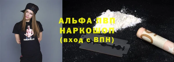 spice Арсеньев
