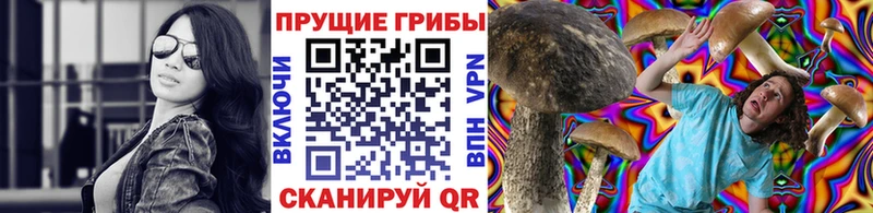 Купить где  Андреаполь  Галлюциногенные грибы MAGIC MUSHROOMS 